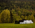 Q2 Gammalt möter nytt, vid infareten till Kusträsk, Juni-6170